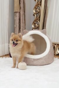 Niche de chat ou chien... – Image 2